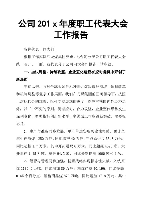 公司201x年度职工代表大会工作报告
