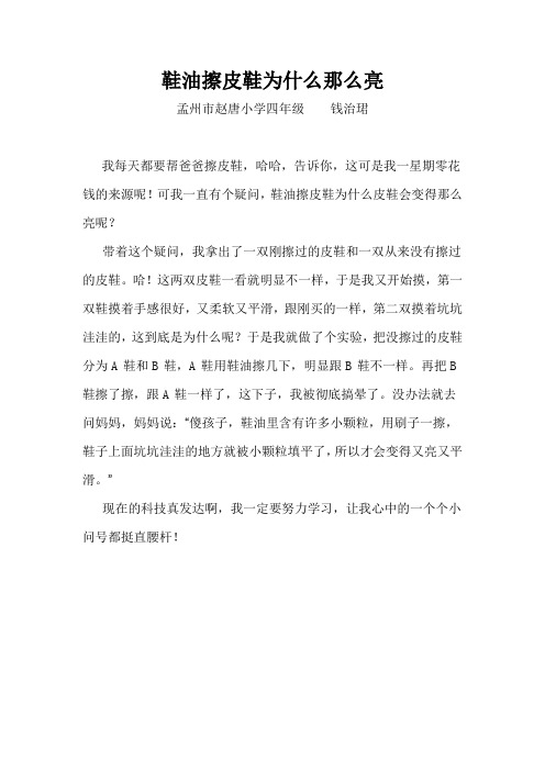 鞋油擦皮鞋为什么那么亮文档 (2)