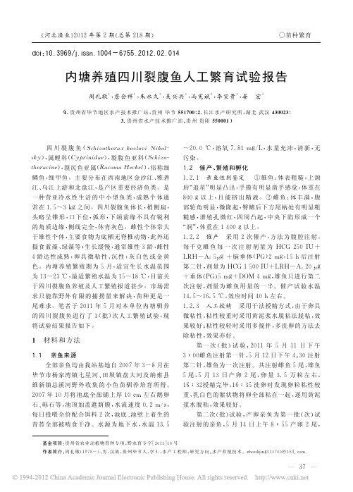 内塘养殖四川裂腹鱼人工繁育试验报告_周礼敬 - 副本