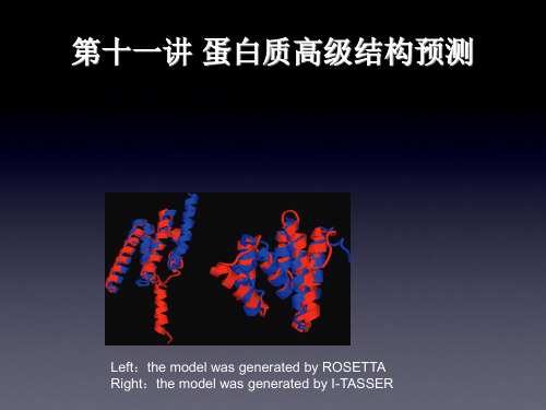 第11讲 蛋白质高级结构预测