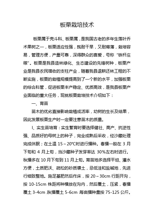 板栗栽培技术