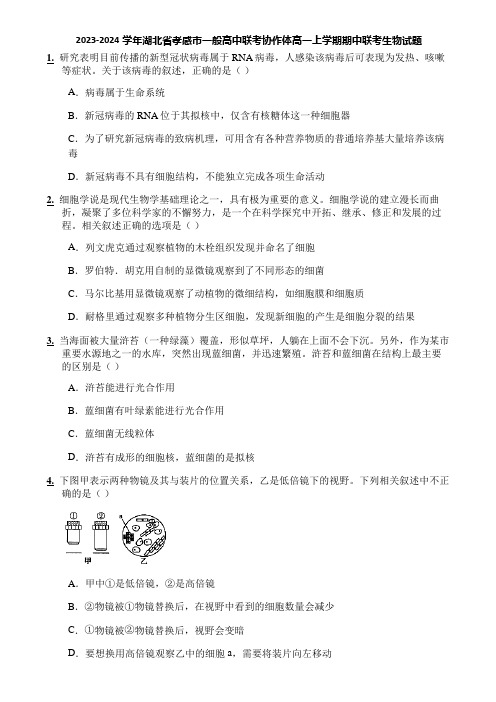 2023-2024学年湖北省孝感市一般高中联考协作体高一上学期期中联考生物试题