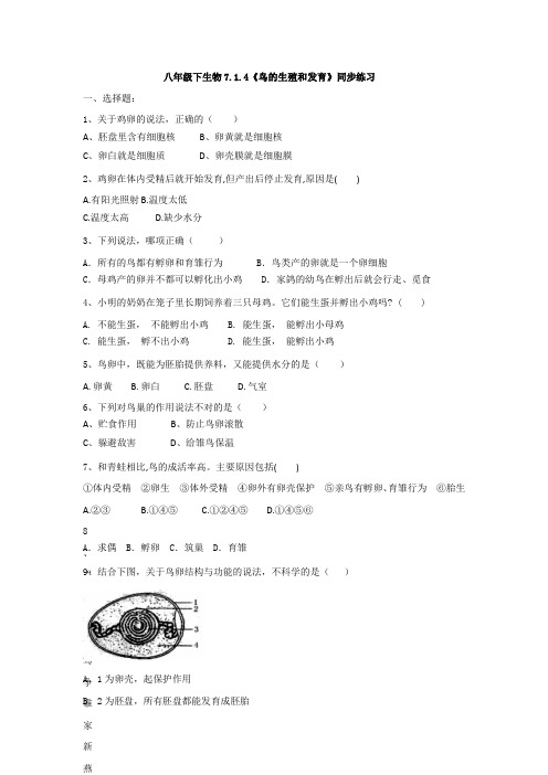 2020-2021学年人教版八年级生物下册 7.1.4  鸟的生殖和发育  同步练习(有答案)