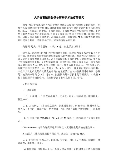 犬子宫蓄脓的影像诊断和手术治疗的研究