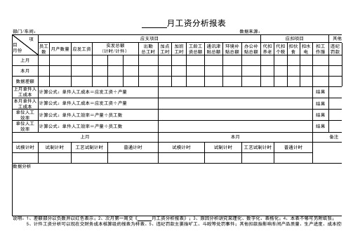 月工资分析报表