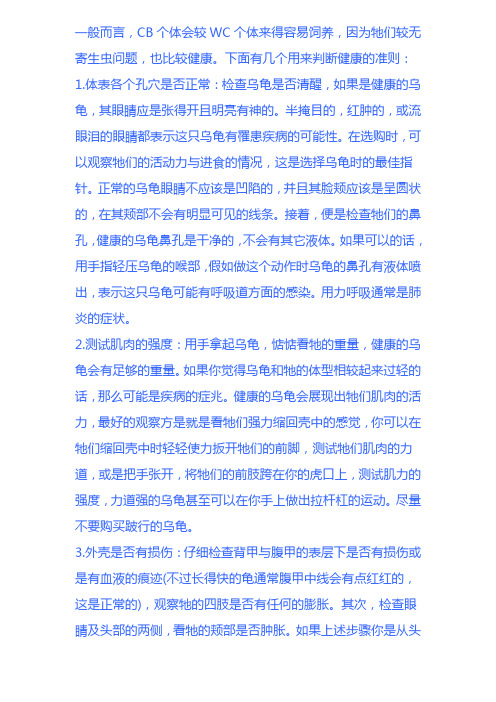 爱龟手札—新手饲养陆龟入门