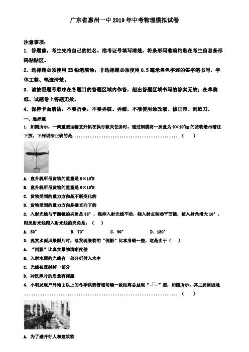 广东省惠州一中2019年中考物理模拟试卷