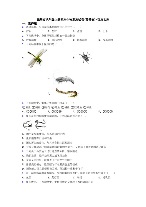 潍坊市八年级上册期末生物期末试卷(带答案)-百度文库