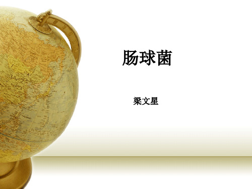 肠球菌