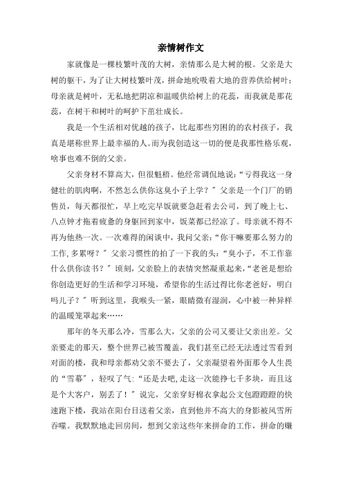 亲情树作文精选