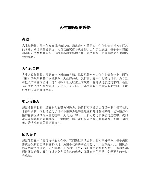 人生如蚂蚁的感悟