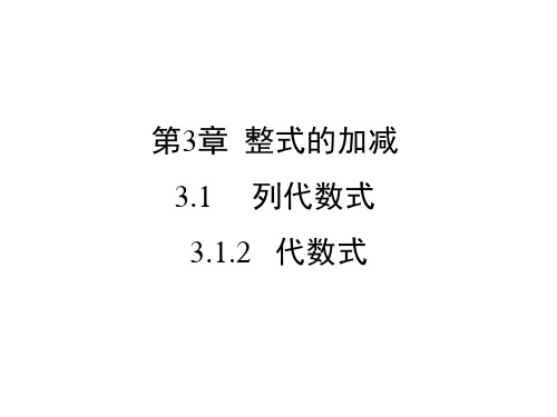 华东师大版七年级上册数学3.1.2  代数式