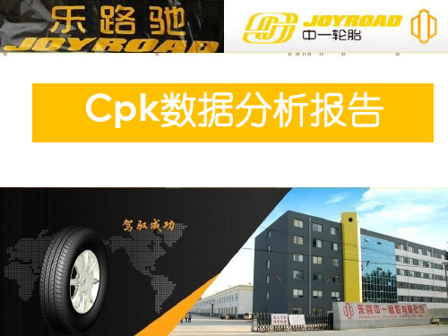 Cpk数据分析报告