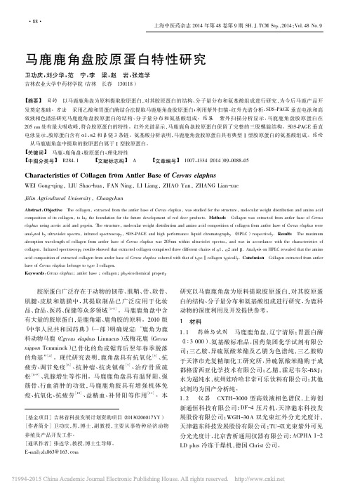 马鹿角盘胶原蛋白特性研究