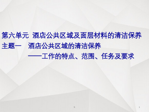 酒店公共区域清洁保养
