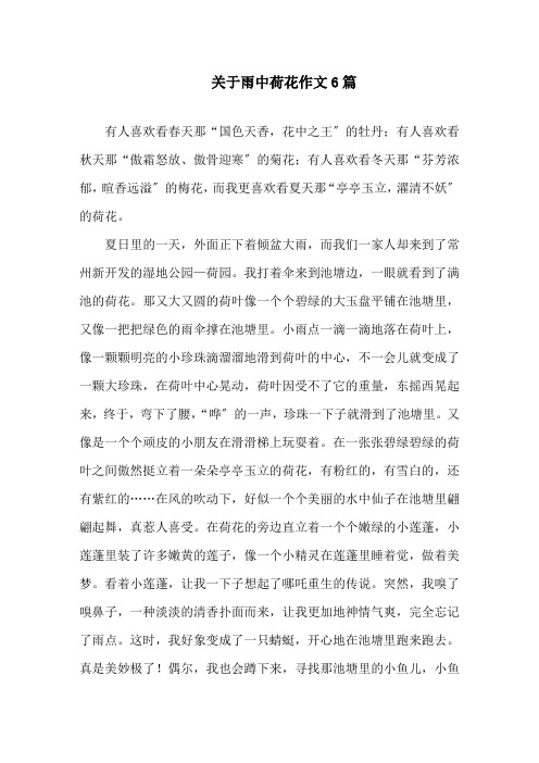 关于雨中荷花作文6篇范文精选