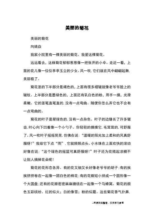 美丽的菊花_小学三四年级写景