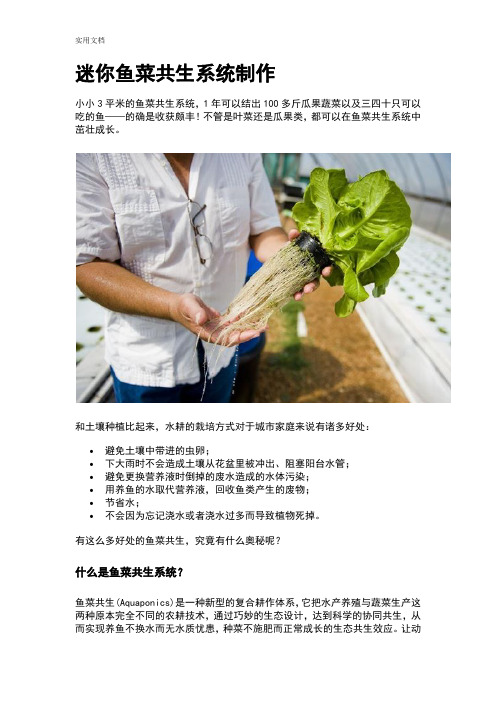 迷你鱼菜共生系统制作