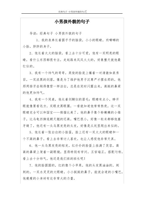 小男孩外貌的句子