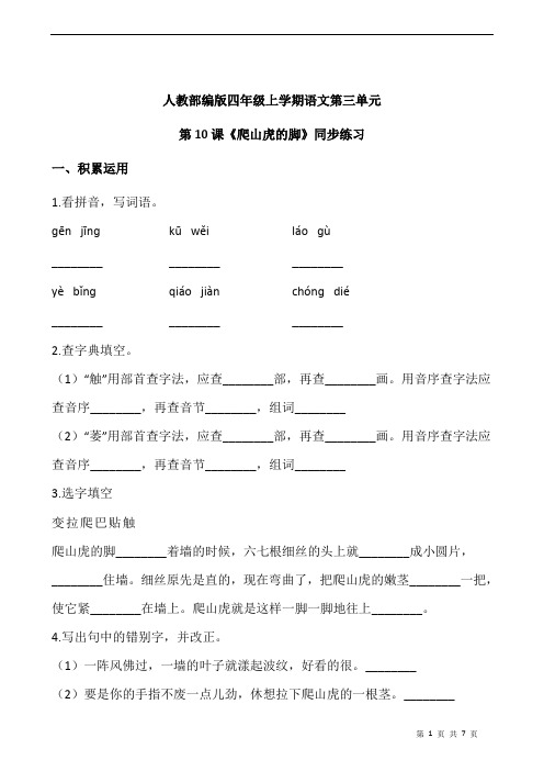 人教部编版四年级上学期语文第三单元第10课《爬山虎的脚》同步练习