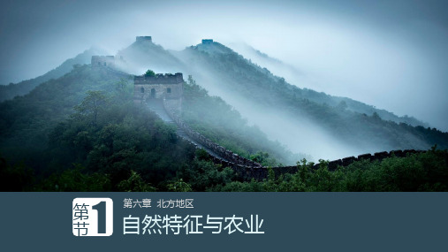 人教版地理八级下册.《自然特征与农业(北方地区)》课堂课件