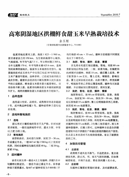 高寒阴湿地区拱棚鲜食甜玉米早熟栽培技术
