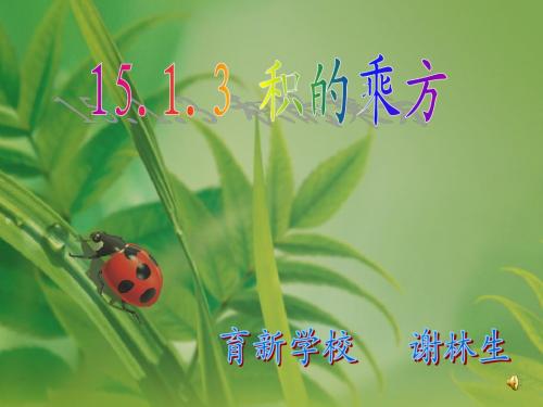 积的乘方(公开课)