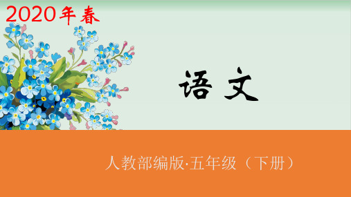 《金字塔》ppt完美版1