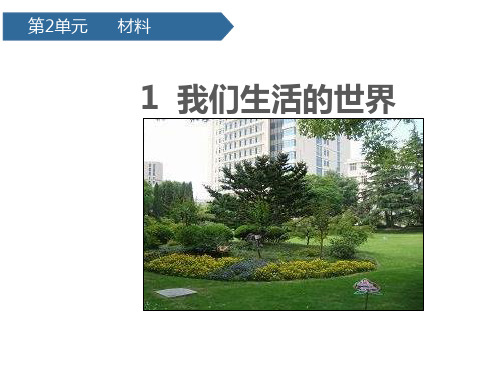 《我们生活的世界》PPT课件1