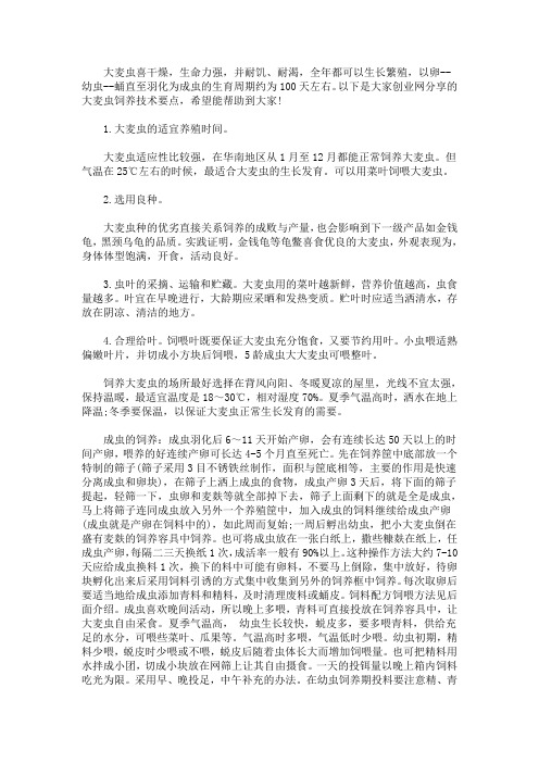 精选最新【大麦虫养殖技术】大麦虫饲养技术要点