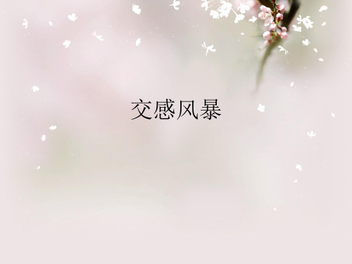 交感风暴ppt课件