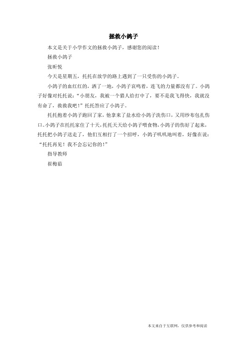 拯救小鸽子_小学作文
