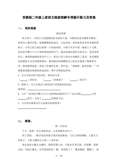 苏教版二年级上册语文阅读理解专项提升练习及答案