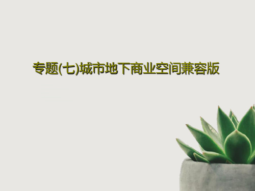 专题(七)城市地下商业空间兼容版25页PPT