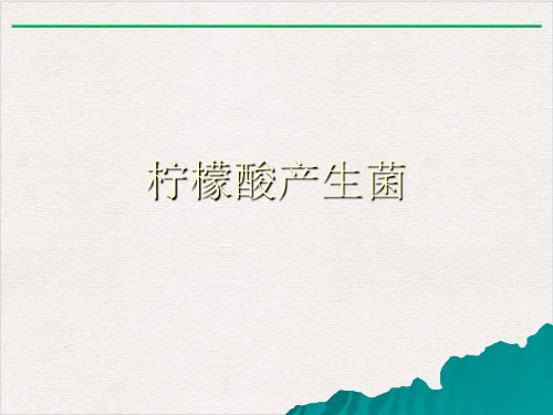 柠檬酸产生菌ppt课件