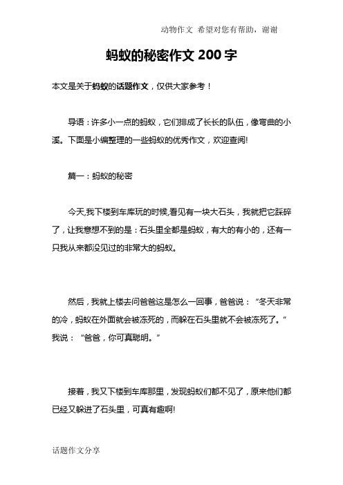 蚂蚁的秘密作文200字