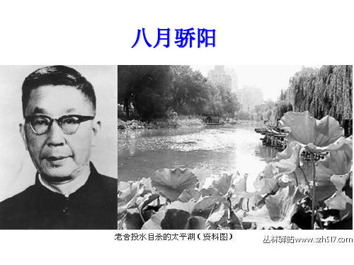 八月骄阳