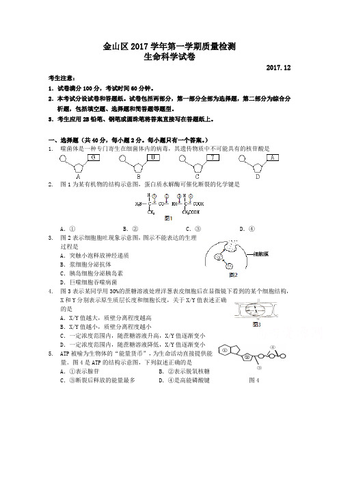 上海市金山区2018届高三上学期期末质量监控生命科学试题