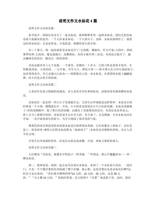 说明文作文水仙花4篇