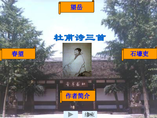 初中八年级初二语文课件 《杜甫诗三首》 
