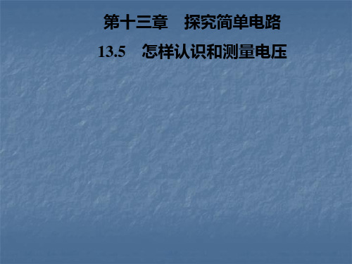 秋沪粤版九年级物理上册习题课件：13.5 怎样认识和测量电压(共22张PPT)