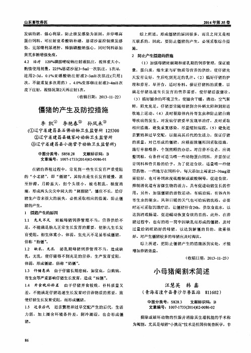 小母猪阉割术简述