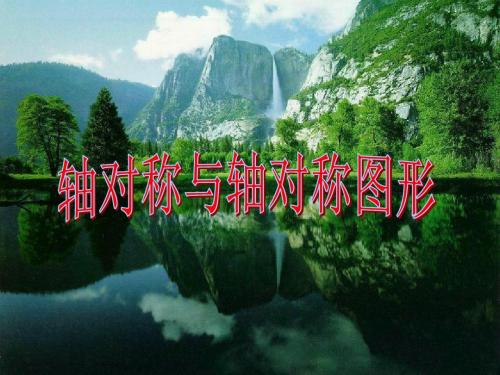 直角坐标系中的轴对称,轴对称图形PPT