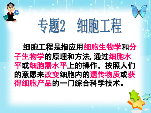 植物细胞工程的基本技术