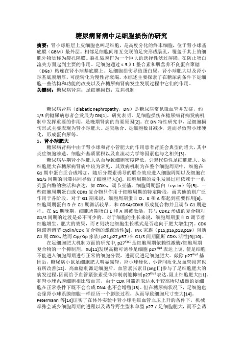 足细胞损伤在糖尿病肾病中的作用(综述)