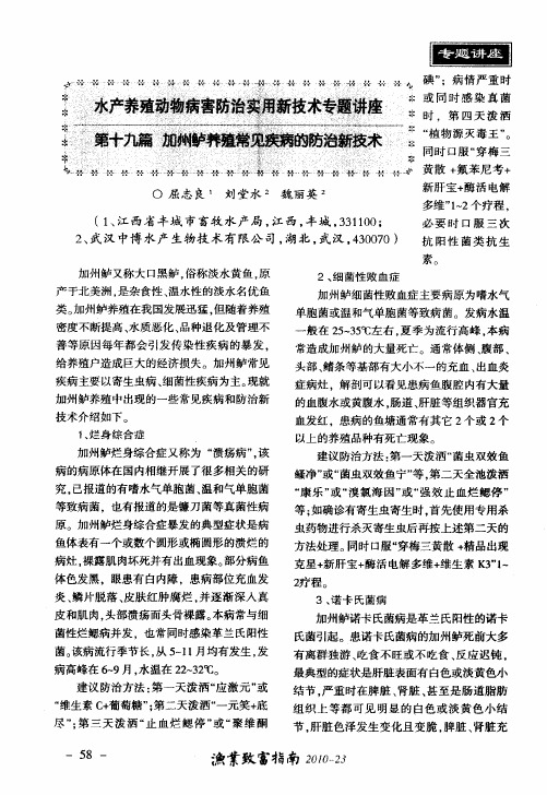 水产养殖动物病害防治实用新技术专题讲座  第十九篇  加州鲈养殖常见疾病的防治新技术