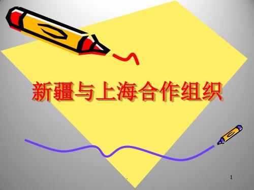 中国新疆及周边国家贸易概况PPT课件