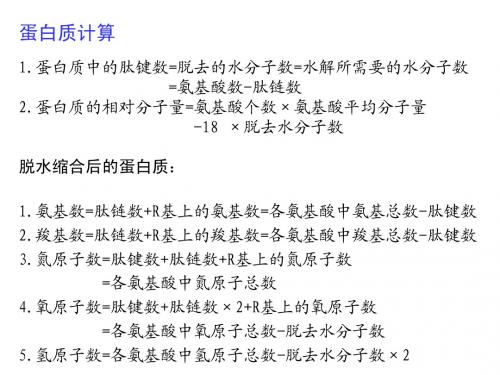 蛋白质与核酸的计算