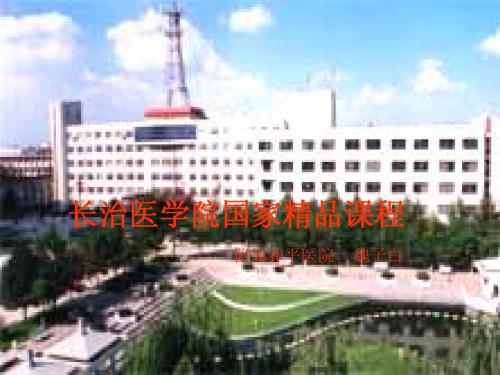 10 诊断学 腹部体检 课件