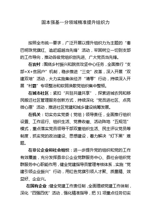 44-固本强基--分领域精准提升组织力